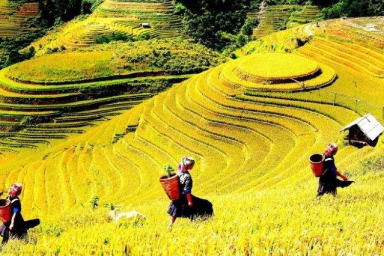 The Greatest Focus Tour of Vietnam 16 Days
